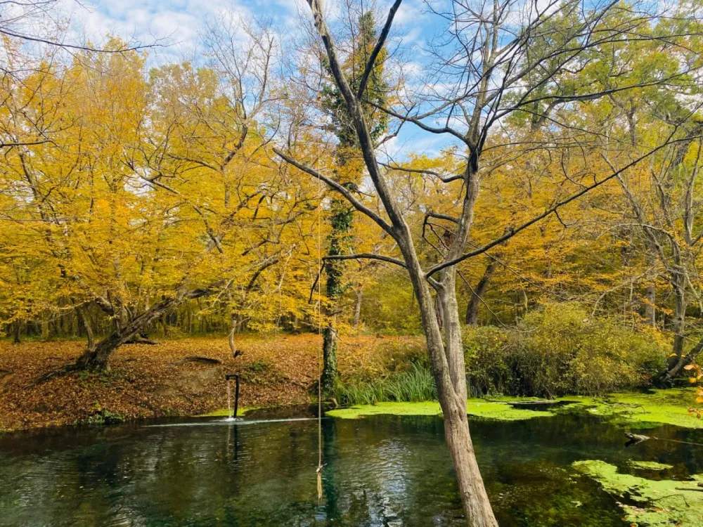Milli parklarımızdan payız etüdləri... - Fotolar
